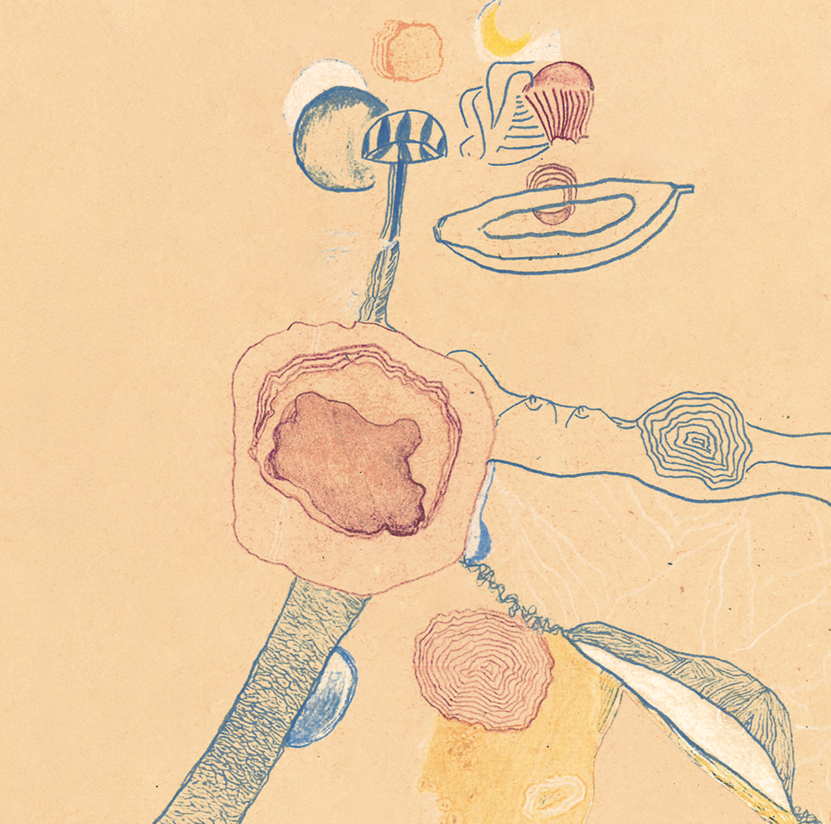 Hand-drawn landscape artwork for Landing Songs